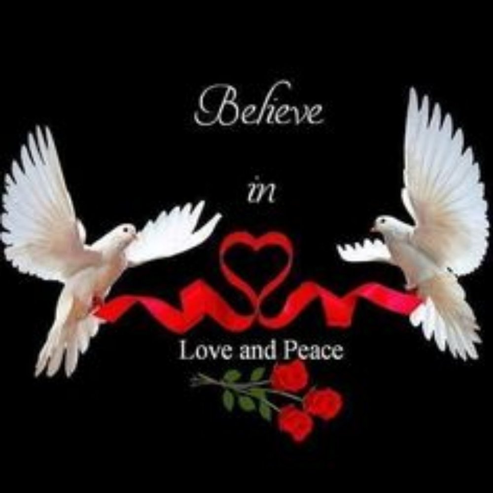 Meet your Posher, Heidi